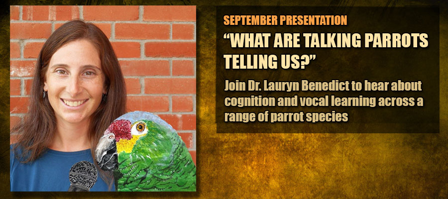 September 2026 Presentation