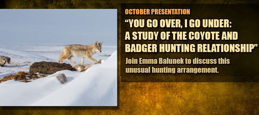 October 2026 Presentation