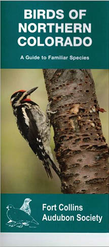 Pocket Guide Cover Image
