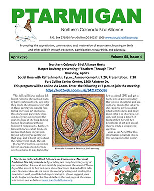 newsletter cover