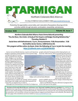 newsletter cover